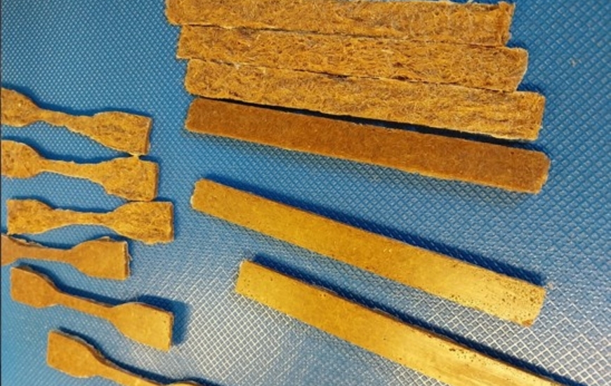 Photos of some samples made from Posidonia